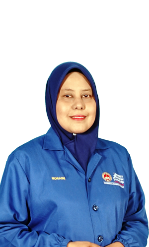 Pn Noraini Pn Noraini